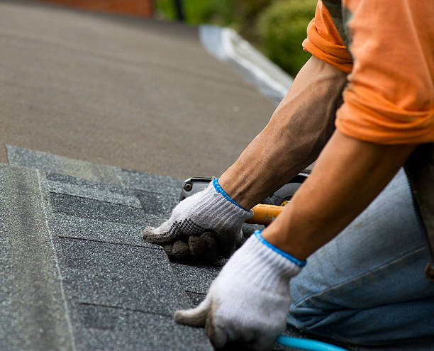 Best Roof Gutter Cleaning  in Passaic, NJ
